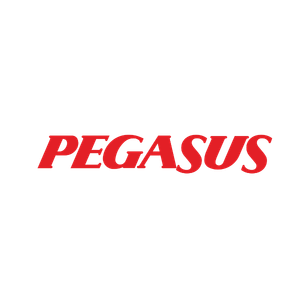 Pegasus